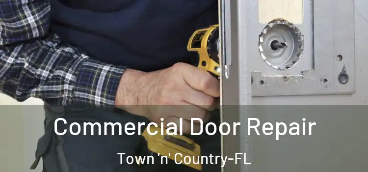 Commercial Door Repair Town 'n' Country-FL