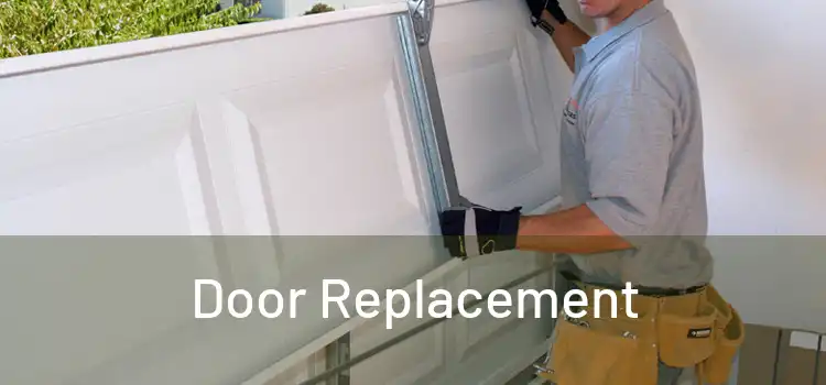 Door Replacement
