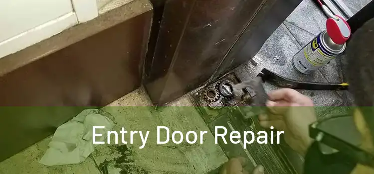 Entry Door Repair