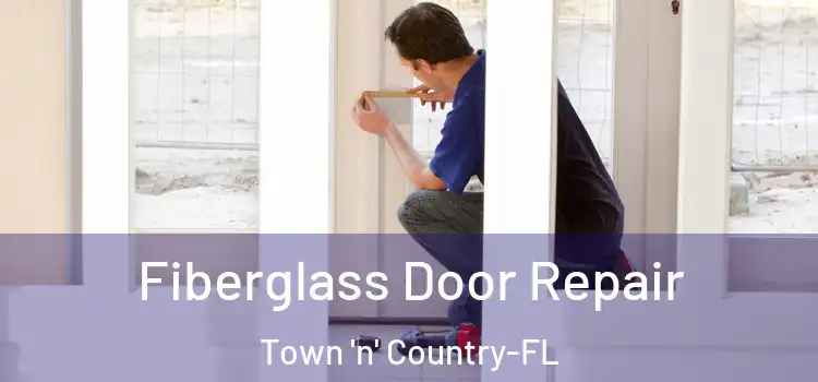 Fiberglass Door Repair Town 'n' Country-FL