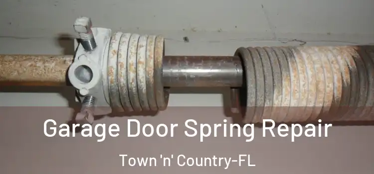 Garage Door Spring Repair Town 'n' Country-FL