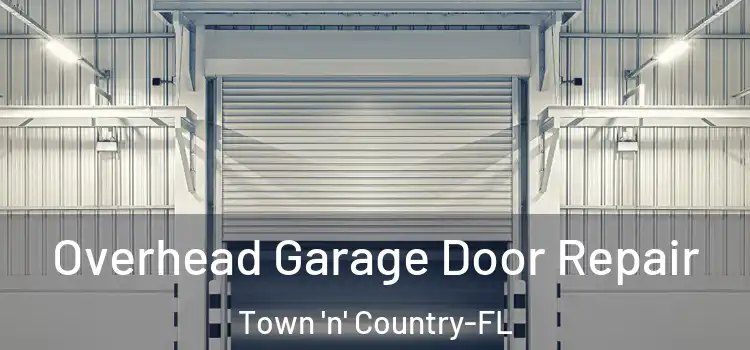 Overhead Garage Door Repair Town 'n' Country-FL