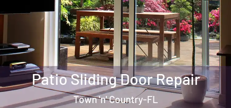 Patio Sliding Door Repair Town 'n' Country-FL