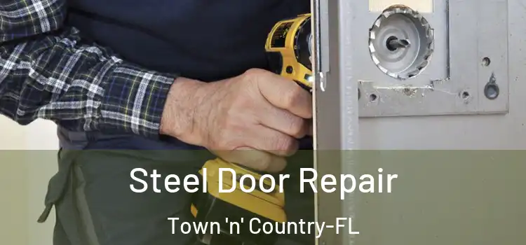 Steel Door Repair Town 'n' Country-FL